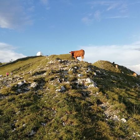 Prémanon Cahute De Montagne Pour Profiter Du Haut Jura מראה חיצוני תמונה