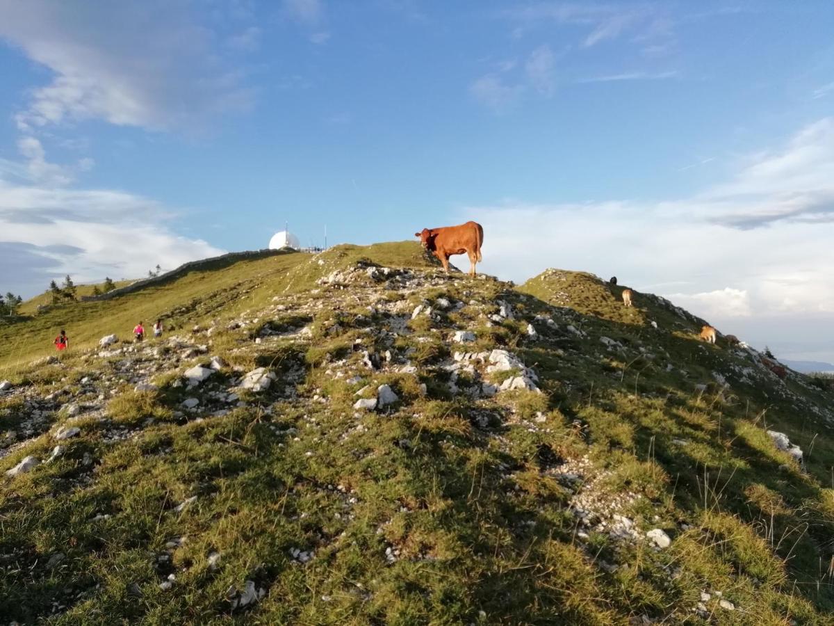 Prémanon Cahute De Montagne Pour Profiter Du Haut Jura מראה חיצוני תמונה