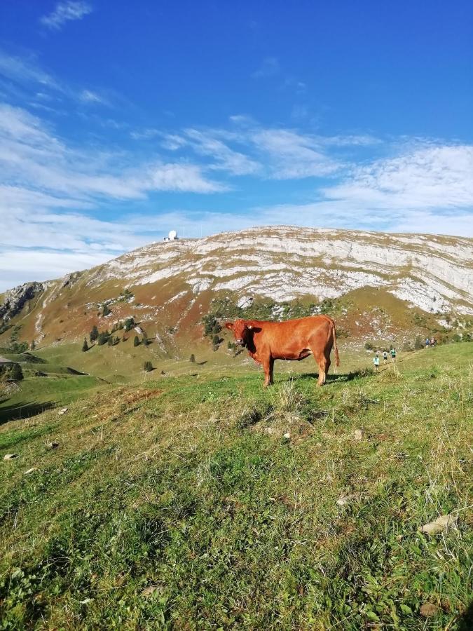 Prémanon Cahute De Montagne Pour Profiter Du Haut Jura מראה חיצוני תמונה