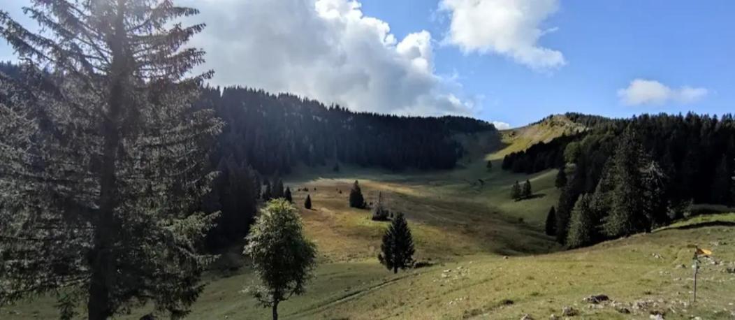 Prémanon Cahute De Montagne Pour Profiter Du Haut Jura מראה חיצוני תמונה